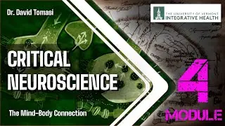 Week 4: Cellular & Molecular Neuroscience / Epigenetics / Development  (Critical Neuroscience)
