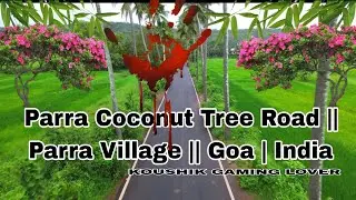 Parra Coconut Tree Road || Parra Village || Goa | India