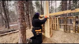 Free Pallets to Pig Shelter | Homestead Build on a Budget