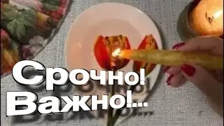 🔥 Срочно! Важно! ВАМ нужно СЕСТЬ!  гадание на воске
