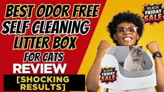 Best Odor Free Self Cleaning Litter Box for Cats Review [Shocking Results]