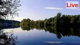 Beautiful Lake | Relaxing Video | Amazing Nature | DearPlanet