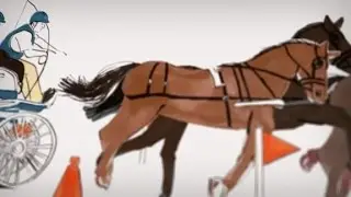 Equestrian disciplines: Driving