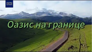 Оазис на границе