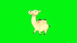 Camelops Green Screen Video Copyright free