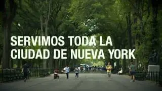 Oficiante de Matrimonios Civiles - Bronx Queens Manhattan Parque Central Brooklyn