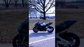 Yamaha  💥 YZF-R1M  🦁 👊 Superbike #Motorcycle #BikerLife #Viral #Trending #StreetLegalMotoGP#song 😎