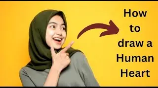 Human heart drawing 2024 | How to draw human heart diagram?