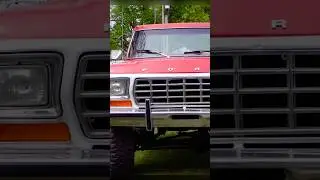 Classic Trucks In The Wild