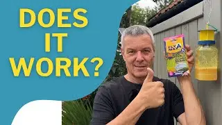 Does It Work? - Zero In Outdoor Fly Trap
