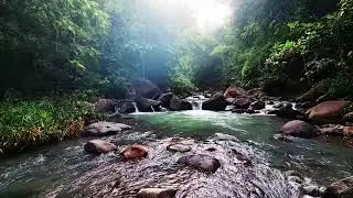 Relaxing River and Bird ASMR - Nature&rsquo;s Soundscape for Sleep, Study, and Meditation