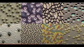 Alexandr Mordvintsev: Neural Cellular Automata and Differentiable Self-Organisation