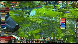 Hunter for life: Mop lvl 90 Hunter pvp