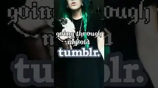 Пик моей карьеры на Tumblr 🌙