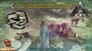 Farming Mek BPs | Alpha Tribe | Ark Survival Official Xbox PVP