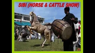 President of Pakistan in Sibi Festival 2018 .