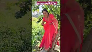 🥰sunday mini vlog💐 #motivation #food #entertainment #kovil #vlogs #flowers #poojai #trending #love.