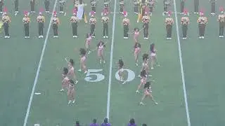 ASU Stingettes 2024 Fieldshow - Slave to the Rhythm (MVSU)