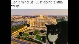 We do a little coupin