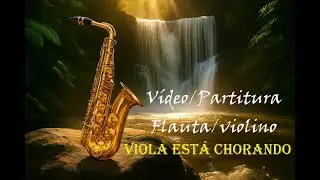 Viola Est&aacute; Chorando - Jo&atilde;o Mineiro e Marciano - Flauta/Violino