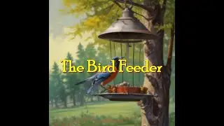 Mad Cave -  Bird Feeder