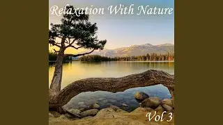 Rivers Run Deep (feat. Stevan Pasero)