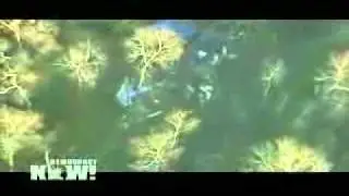 DN!  Sen. Paul Wellstone Maybe Murdered FBI Docs Show