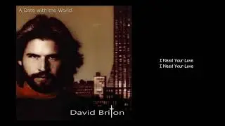 David Briton - I Need Your Love (With Lyrics)
