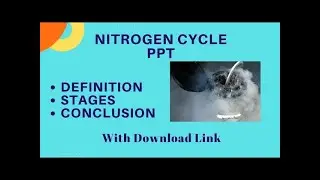 Nitrogen Cycle in Hindi PPT: Definition, Stages, Conclusion #ppt #hinditutorials #nitrogencycle