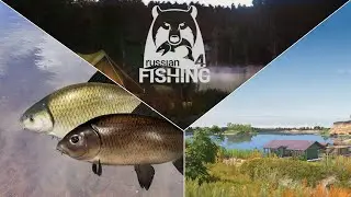 Wir testen den Büffelfisch Spot! - Ehrenfischer Achtuba| Russian Fishing 4