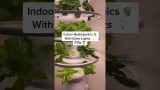 Growing Our Food In Las Vegas