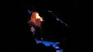Envy on the Coast - The Devil's Tongue (фрагмент песни) - Концерт в Capital One Bank Centre 27.12...