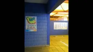 خريجات م4 2013م