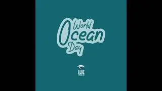World Ocean Day 2024 #worldoceanday #favouritebeach #oceanlife #oceanwarrior #oceanprotection