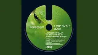 A Frog On the Beach (Marco Passarani Remix)