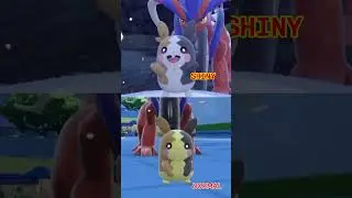 Which Morpeko You Like?#pokemonscarlet #shinyhunter#pokemonscarletandviolet