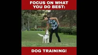 Dog Trainer & Pet Services Marketing - We'll Do All The Marketing for Your Dog Services - Webdogg