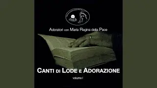 Se avessi mai commesso