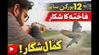12 Bore Shotgun Dove Hunting | Powerful Desi Hunting Action | Real Village Hunt
