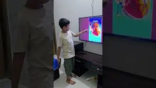 ant VS whale heart size #sort#heart