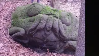 Yale Univ Asks if these Bizarre Creatures are from a Failed Evolutionary Experiment...Answer....Yes