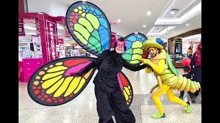 Roaming Insect Characters Adelaide