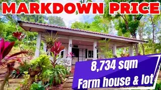 L-666-26 MARKDOWN PRICE 34M ‼️Farm house and lot near tagaytay 8,734 sqm along brgy road