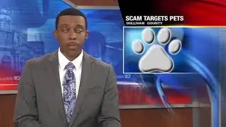 Humane Society Scam in Sullivan County