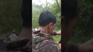 ⭕camping di bukit bebatuan #shorts #hutan #petualang