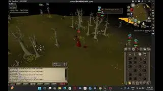90M risk Nightmare volatile staff pure skull fight