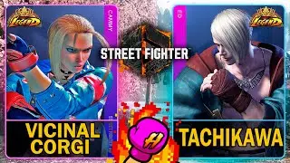 SF6 Vicinal Corgi (CAMMY) VS Tachikawa (ED)🥊Street Fighter 6🥊スト6🥊4K 60ᶠᵖˢ