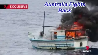Hundreds of Illegal Boats Invade Australia in Search of Very Expensive Sea Cucumbers.