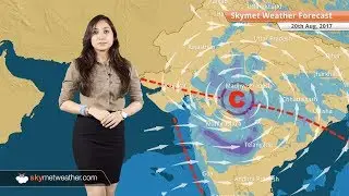 Weather Forecast for Aug 20: Rains in Delhi, Rajasthan, Uttar Pradesh, Himachal Pradesh