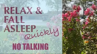 Fall Asleep Fast, NO TALKING, Bees, Cars, People Walking By